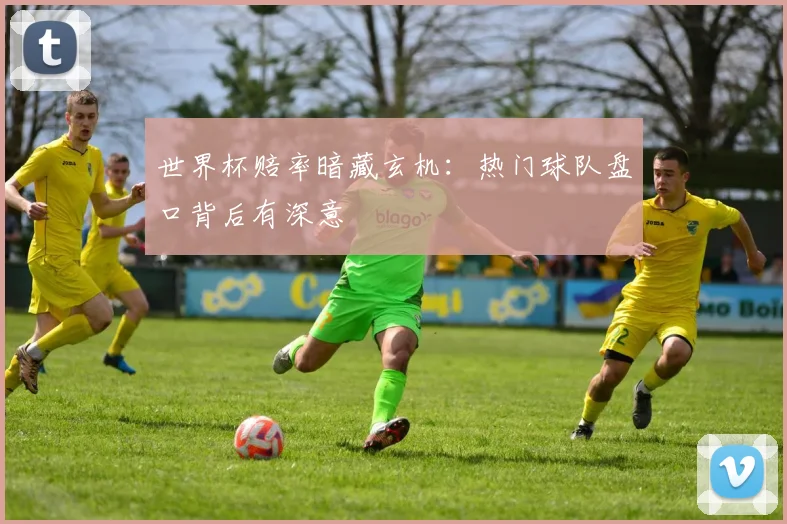 世界杯赔率暗藏玄机：热门球队盘口背后有深意