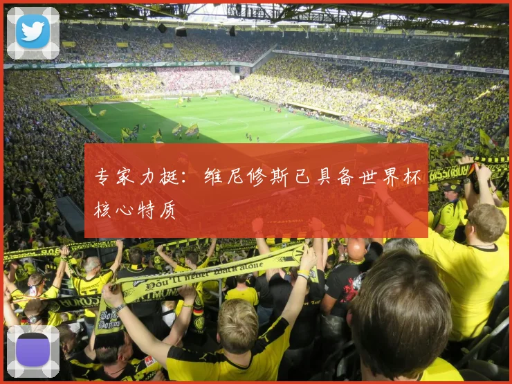 专家力挺：维尼修斯已具备世界杯核心特质