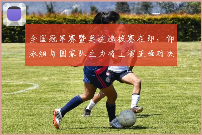 全国冠军赛暨奥运选拔赛在即,仰泳组与国家队主力将上演正面对决