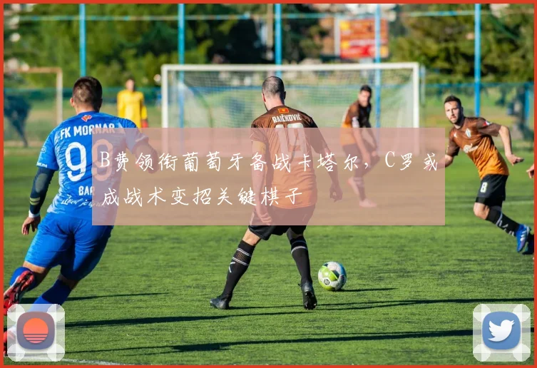 B费领衔葡萄牙备战卡塔尔，C罗或成战术变招关键棋子