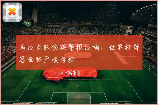 乌拉圭队伤病警报拉响，世界杯阵容面临严峻考验