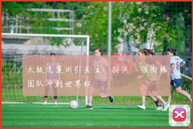 太极虎集训引关注，孙兴慜领衔韩国队冲刺世界杯