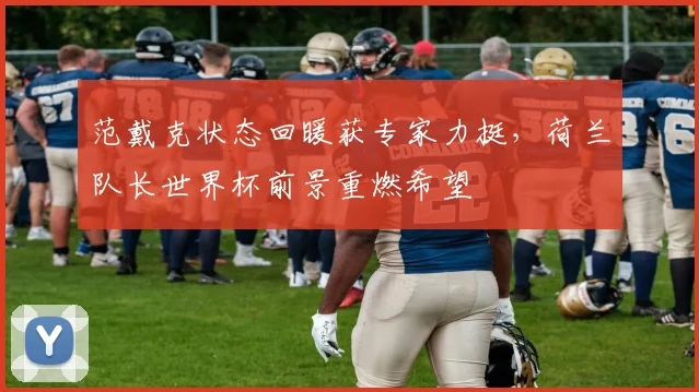 范戴克状态回暖获专家力挺，荷兰队长世界杯前景重燃希望