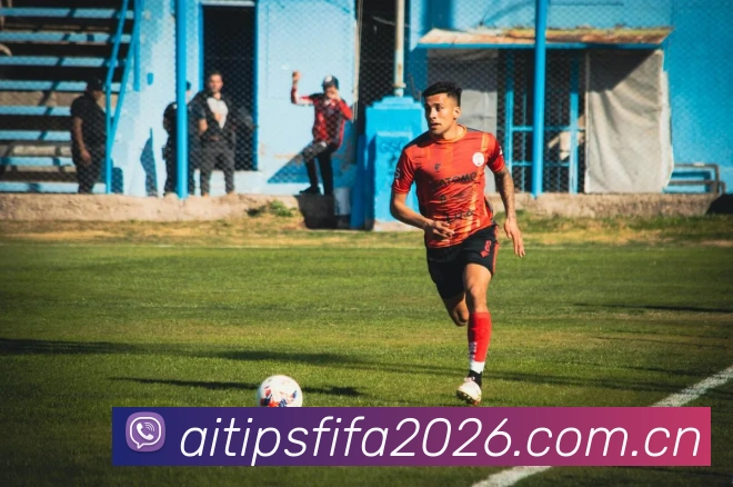 2026世界杯 App 多端展示图